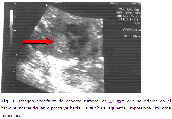 Imagen de portada