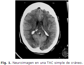 Imagen de portada