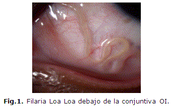 Imagen de portada